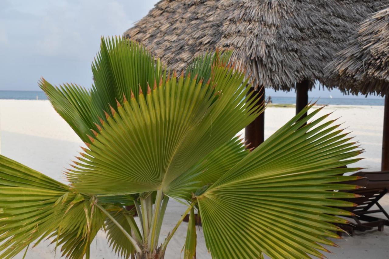 Hotel Kendwa Beach Resort 4*